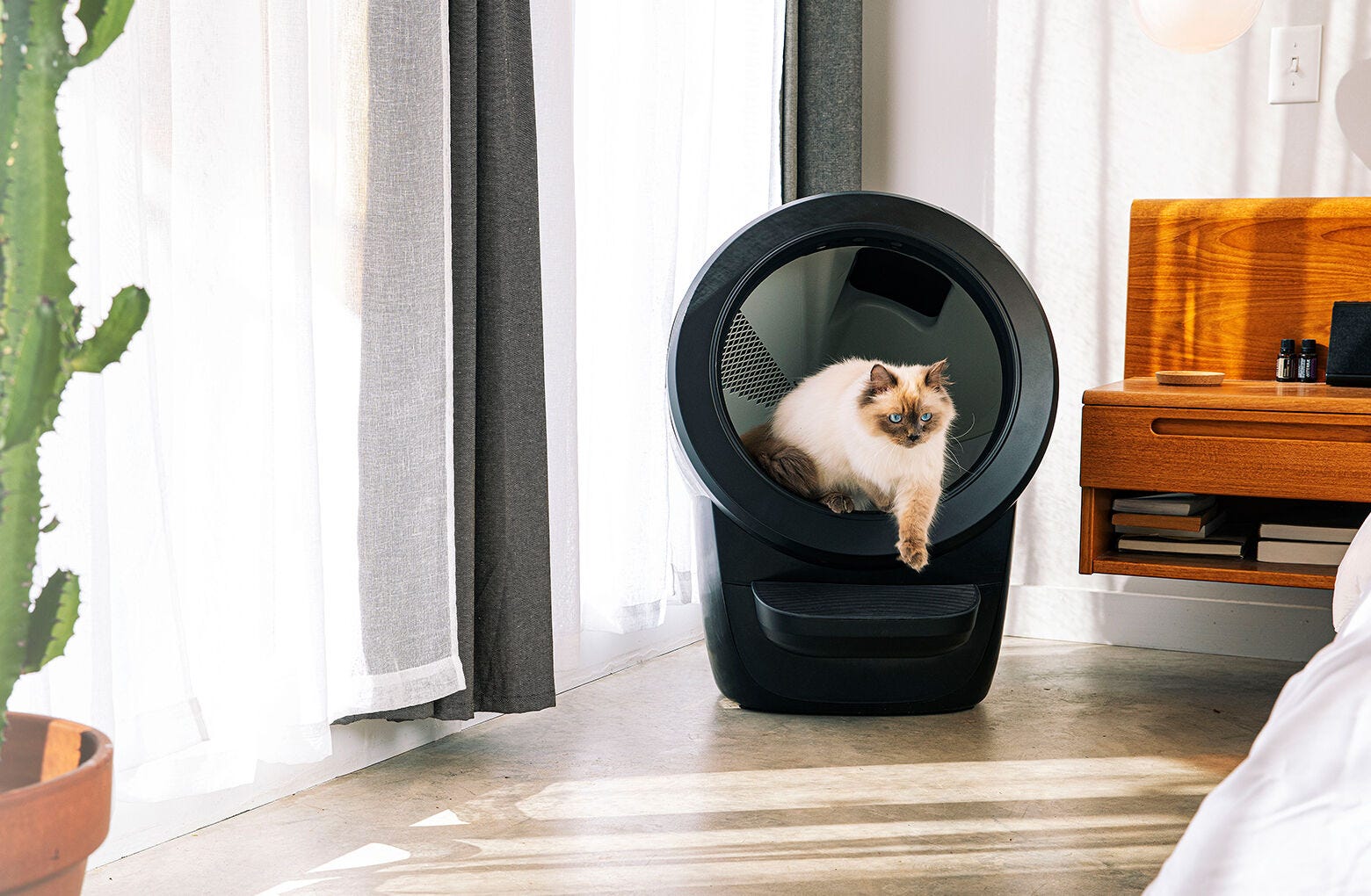 Litter-Robot® 4