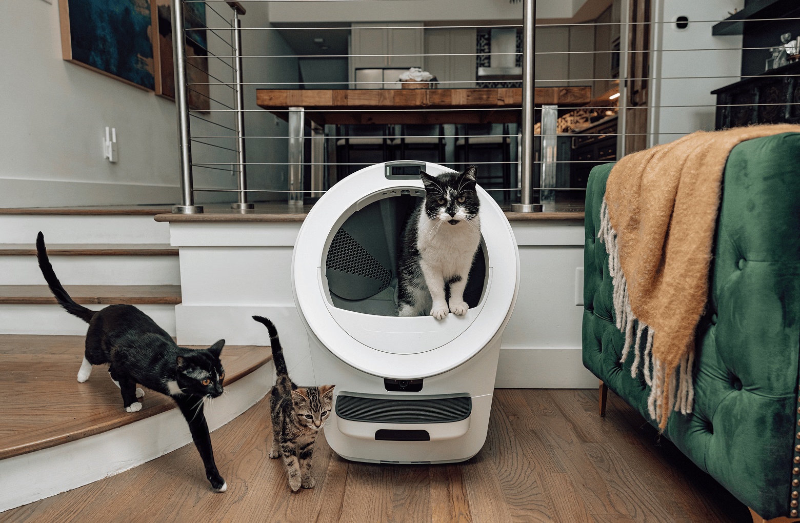 1-litter-robot-5-pro-5.jpg Litter-Robot® 5 Pro