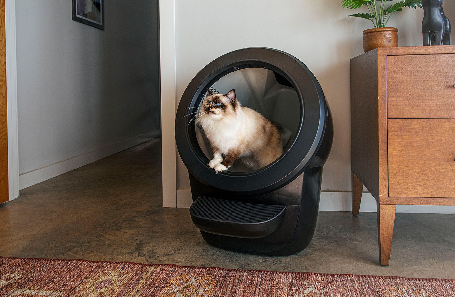 Litter-Robot® 4 + Extended Warranty
