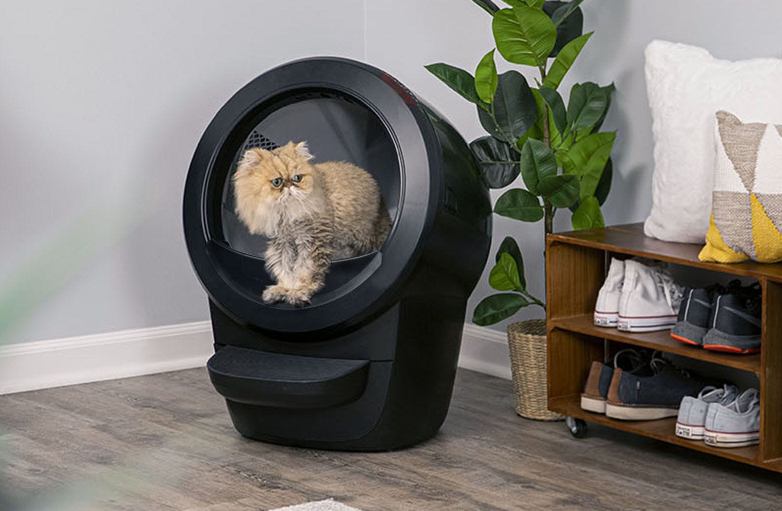 128-litter-robot-4-starter-bundle-5.jpg Litter-Robot® 4 Starter Bundle