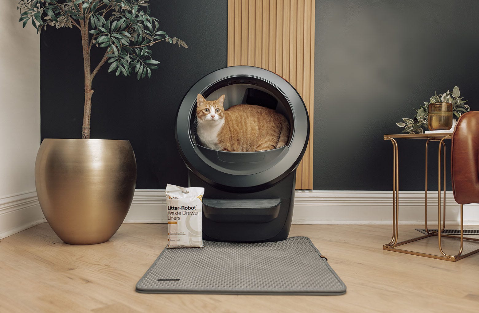 129-litter-robot-4-insights-bundle-2.jpg Litter-Robot® 4 Insights Bundle