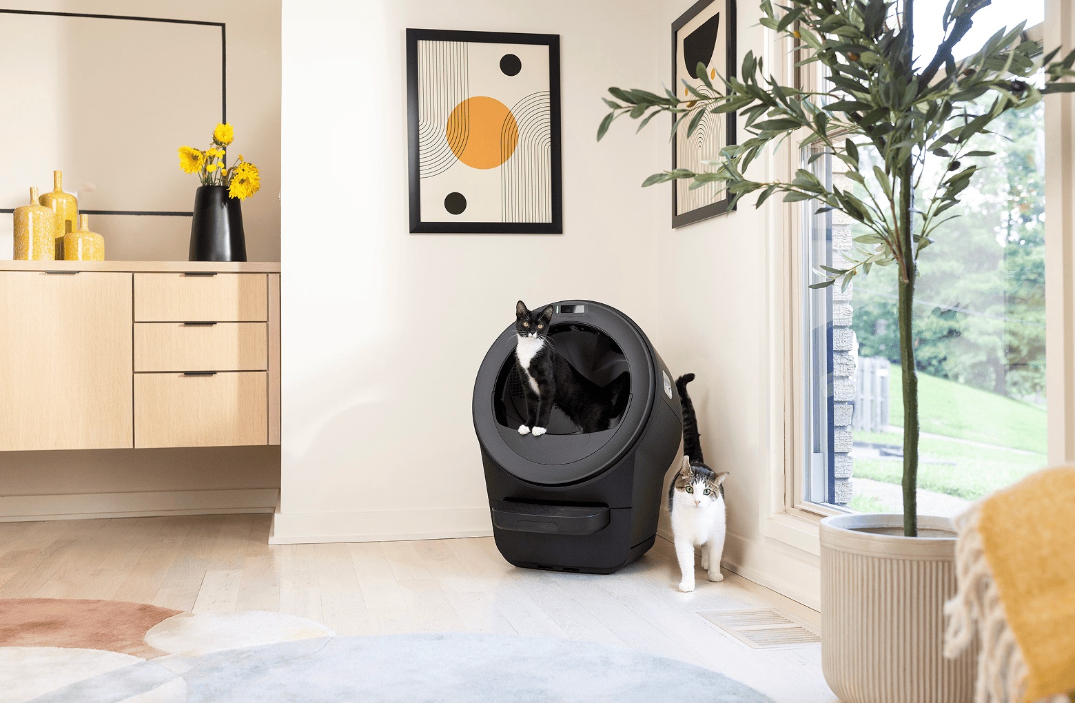 132-litter-robot-5-warranty-bundle-5.jpg Litter-Robot® 5 Warranty Bundle