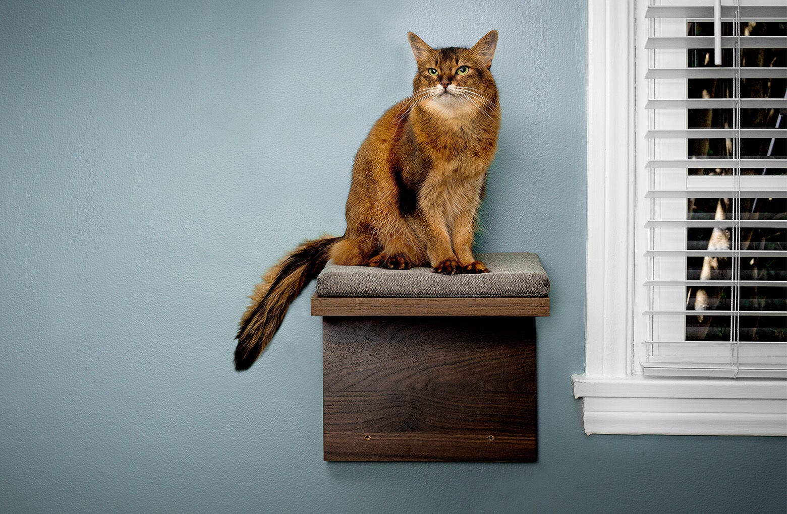 143-cat-shelf-2-pack--2.jpg Cat Shelf (2-Pack)