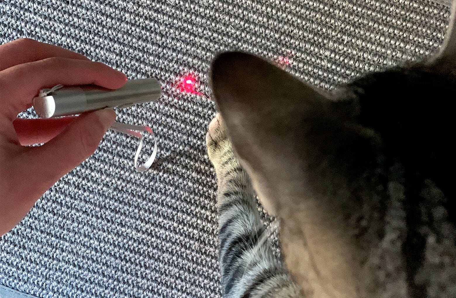 144-rechargeable-laser-pointer-2.jpg Rechargeable Laser Pointer