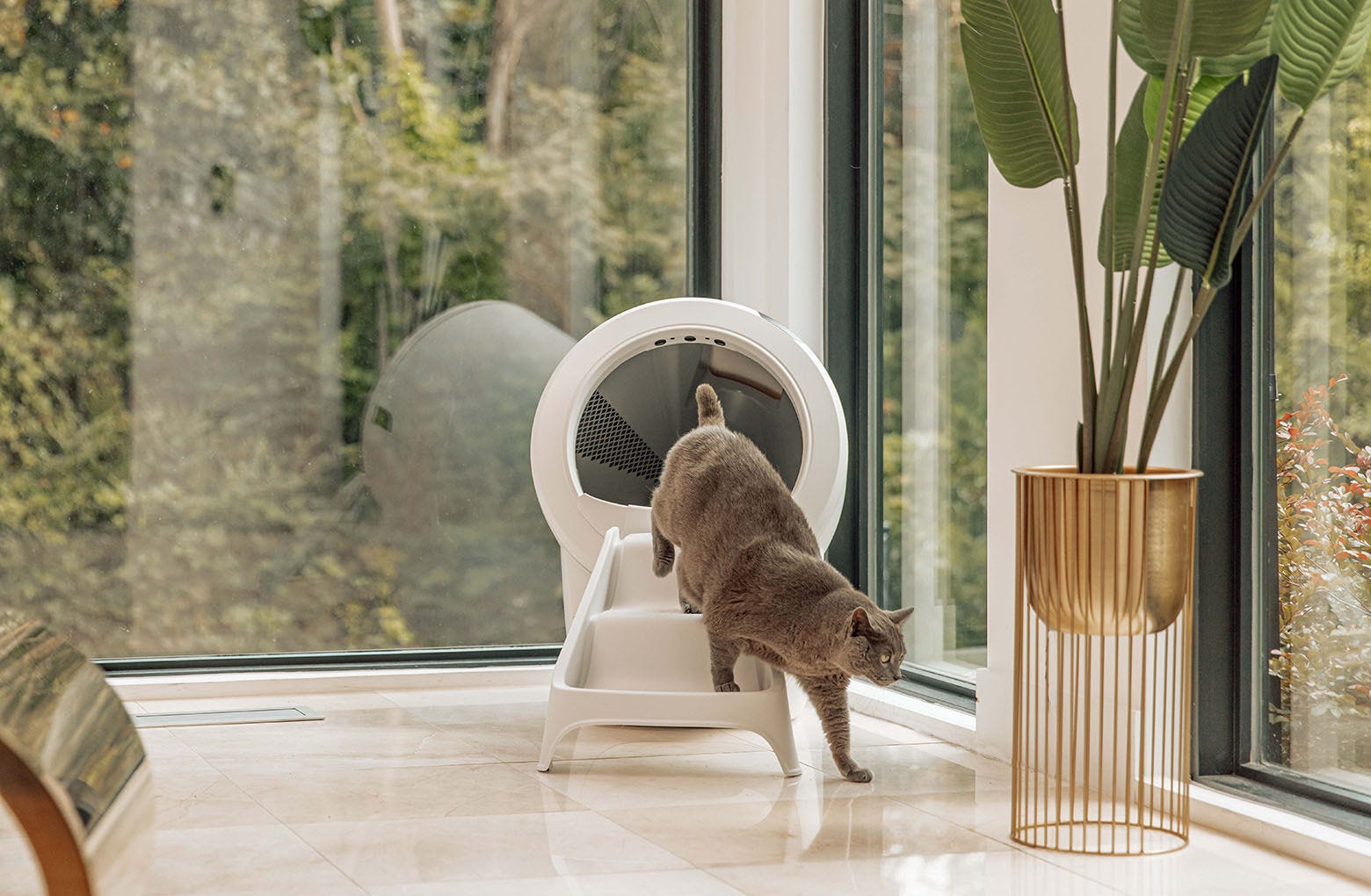 15-litter-robot-4-ramp-6.jpg Litter-Robot 4 Ramp