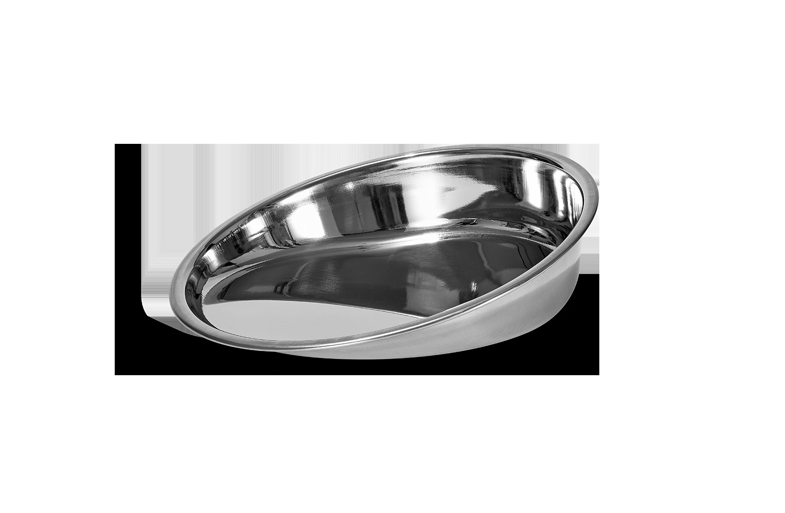 Feeder-Robot Stainless Steel Bowl