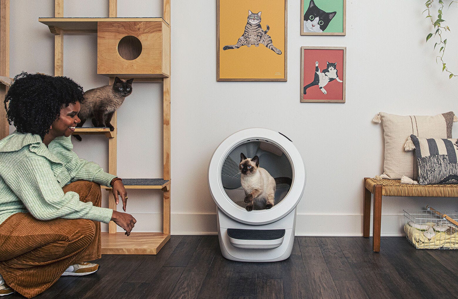 Litter-Robot 4- Reconditioned