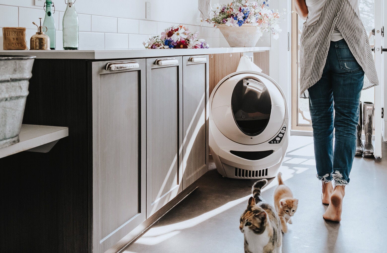 19-litter-robot-3-connect-reconditioned-5.jpg Litter-Robot 3 Connect - Reconditioned