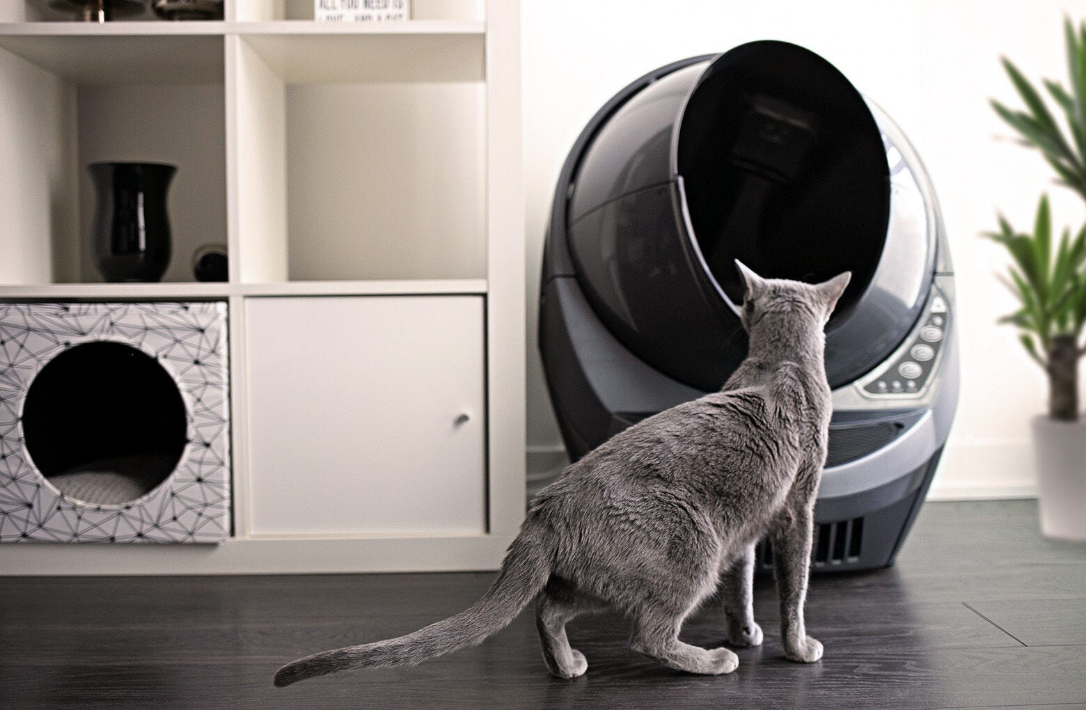 19-litter-robot-3-connect-reconditioned-6.jpg Litter-Robot 3 Connect - Reconditioned