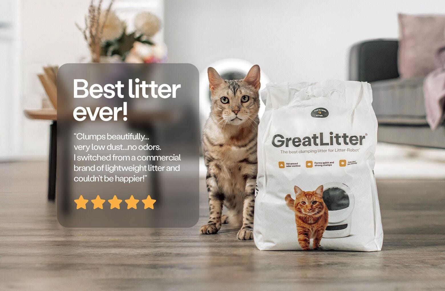 GreatLitter