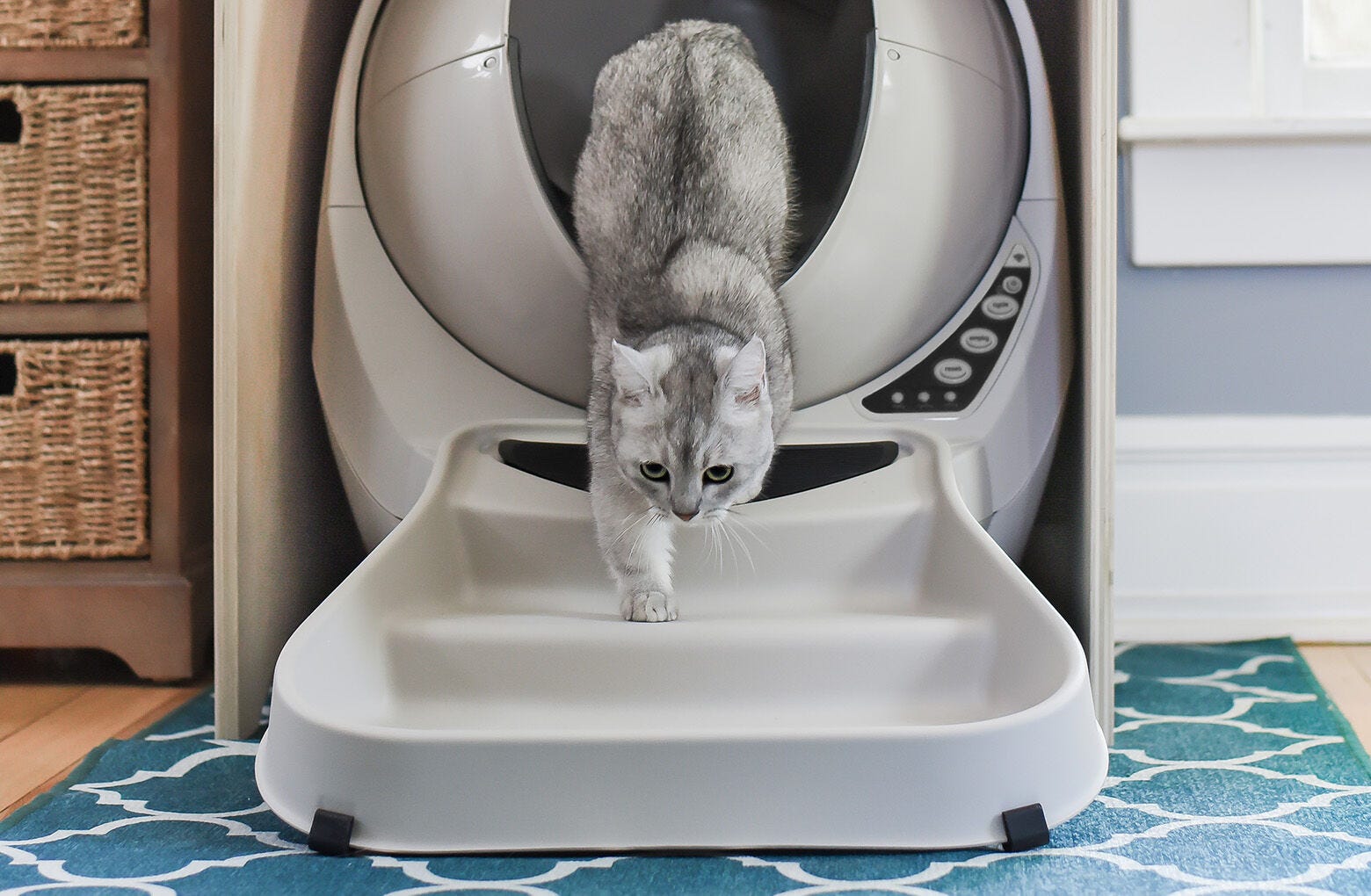 Litter-Robot 3 Ramp