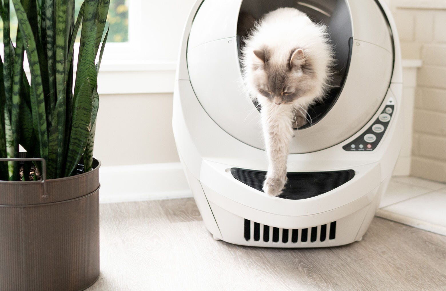 Litter-Robot 3 Step Mat
