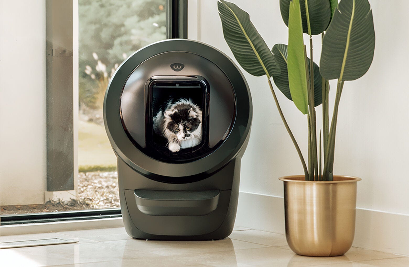 Litter-Robot 4 Shield